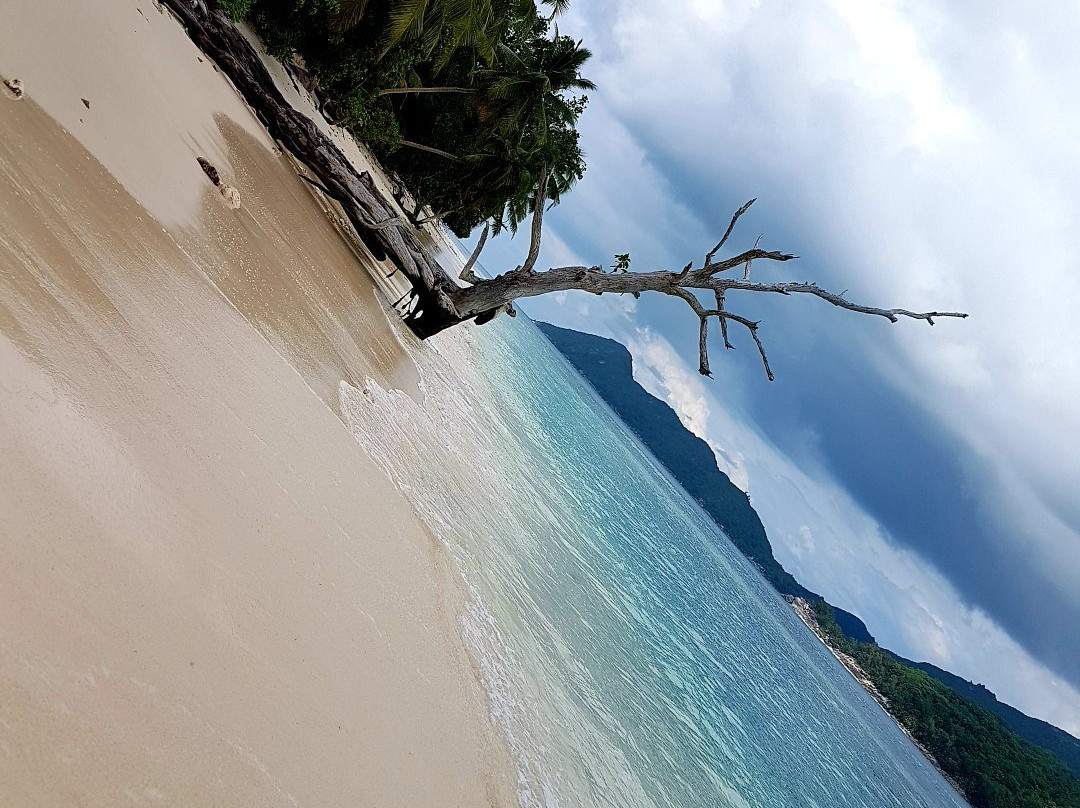 Thérèse Island-Port Glaud必去景点