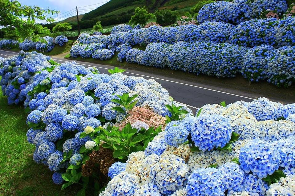 JMAZORESTOURS-蓬塔德尔加达必去景点