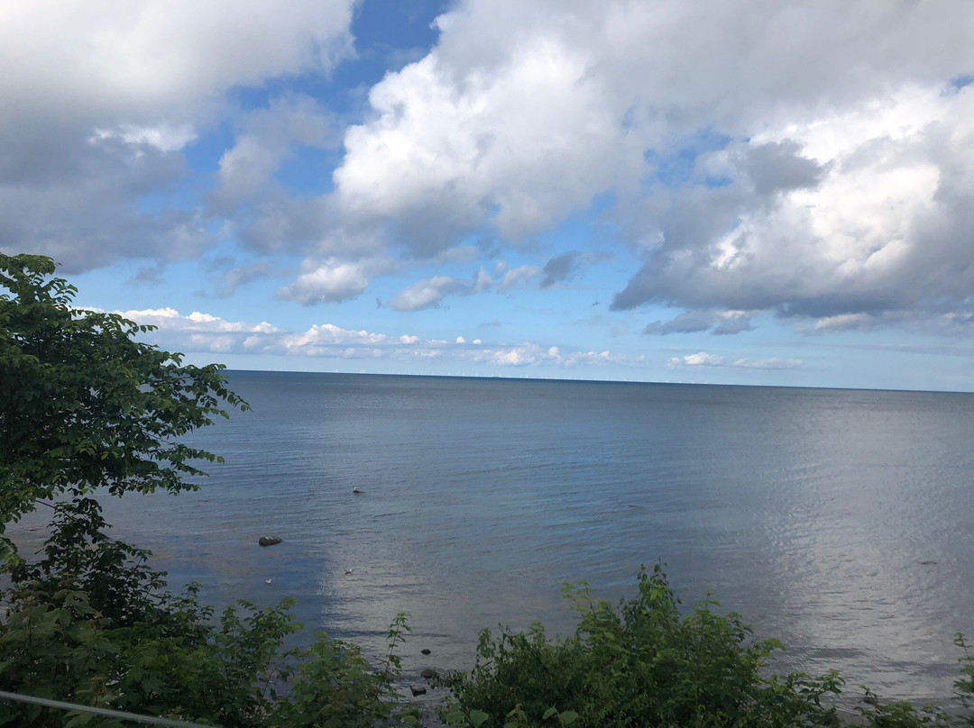 Aparthotel Museumshof主图