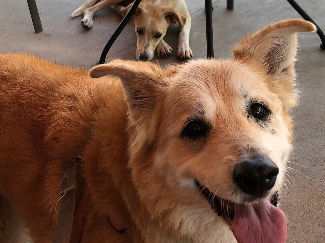 Peaceful Bend Vineyard-Steelville必去景点