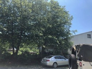 Mountain And Vine-Faber必去景点