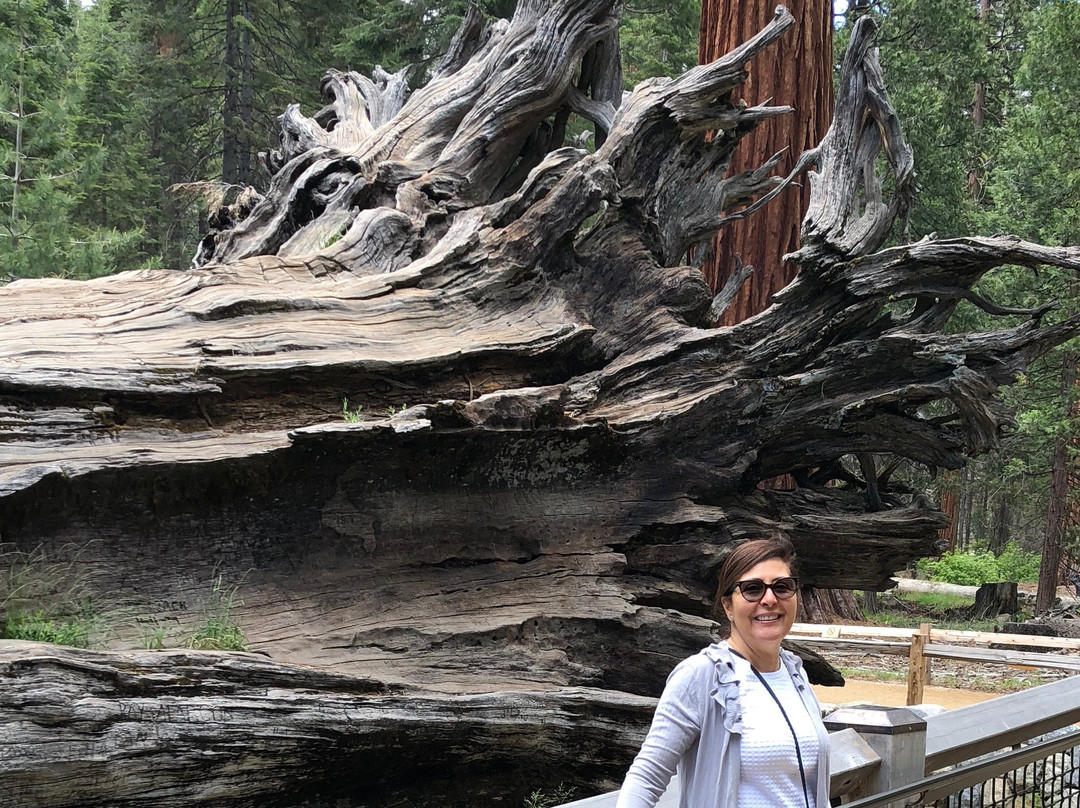 优胜美地拉温布里克住宿加早餐酒店主图
