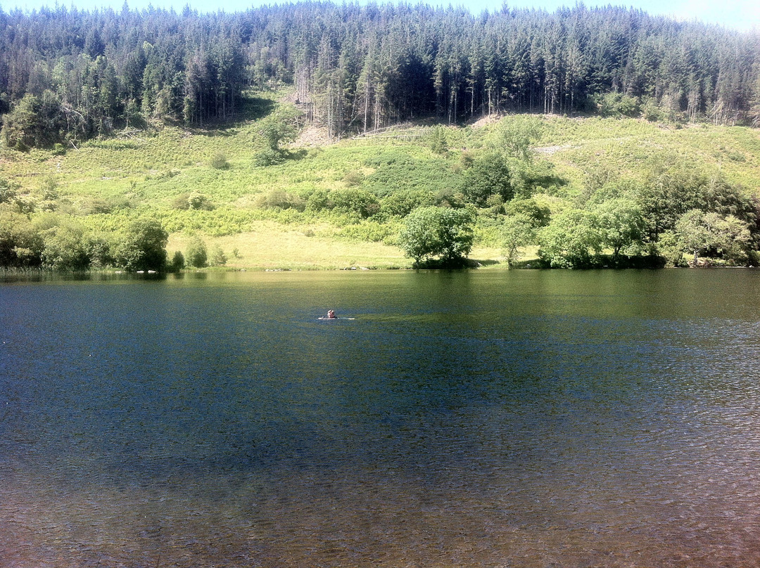 Llyn Geirionydd景点图片
