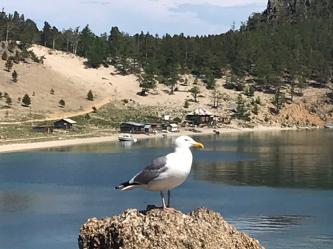 Bukhta Peschanaya-Khargino必去景点