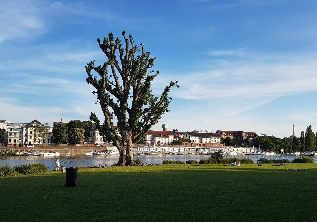 Hotel Pension Berger主图