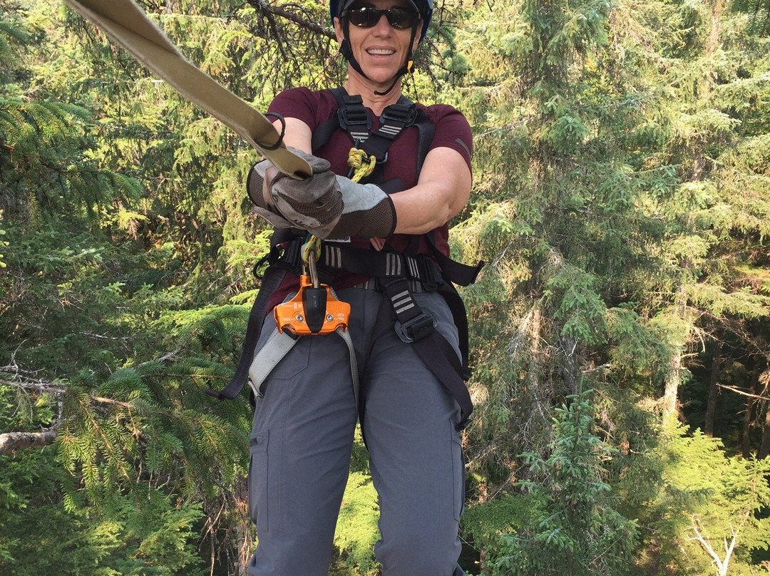 Stoney Creek Canopy Adventures景点图片