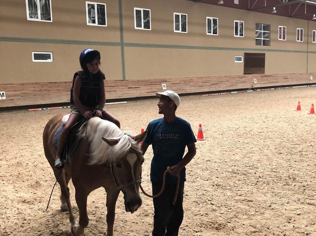 Padok Premium Hotel Stables主图