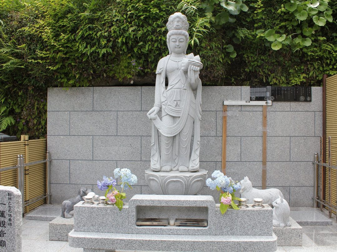 Yakuoji Temple-镰仓市必去景点