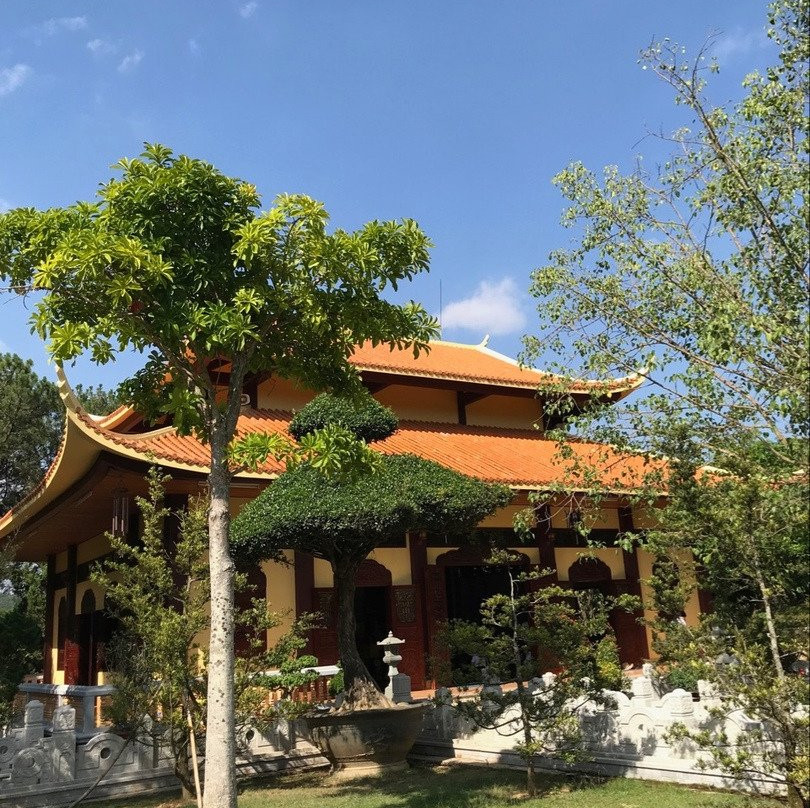 Thien Vuong Co Sat Pagoda景点图片