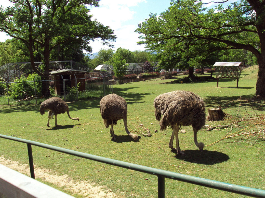 Zoo Neuwied景点图片