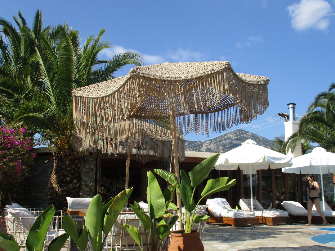 Kelyfos Hotel & Bungalows主图