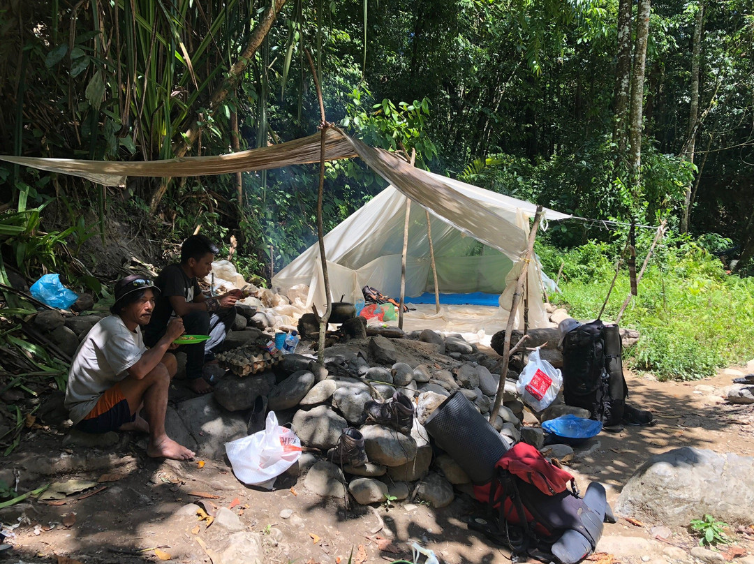 Jungle Tour With Salman-Ketambe必去景点