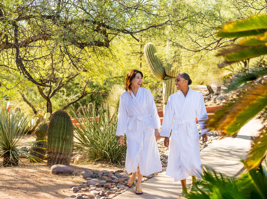 Canyon Ranch Wellness Resort Tucson主图