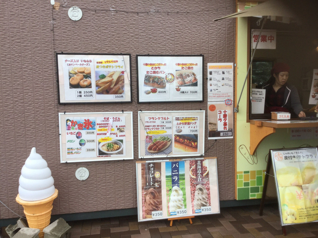 Tokachiheigen Service Area Inbound-芽室町必去景点