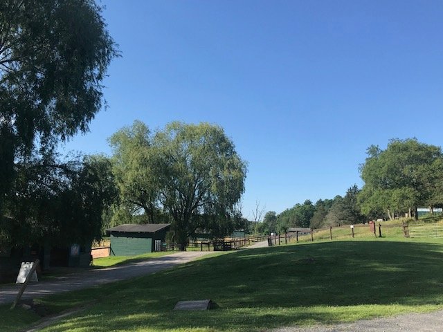 Catskill Animal Sanctuary-浴室