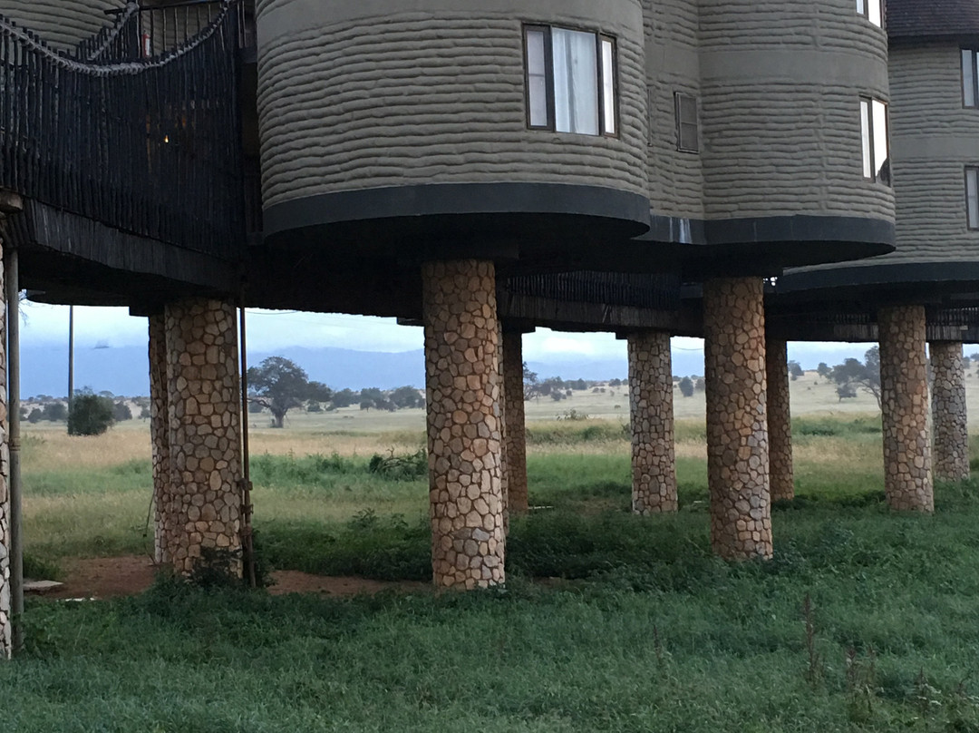 Tsavo Trails- Day Tours-迪亚尼必去景点