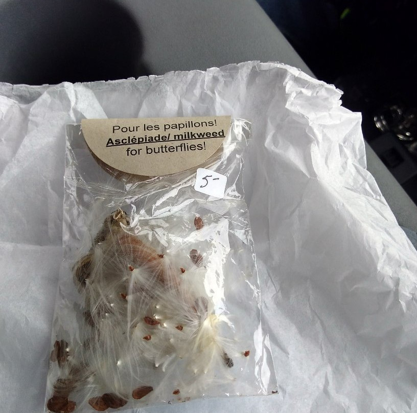 Marche des Fermiers Bouctouche Farmers' Market-Bouctouche必去景点