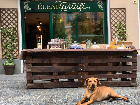 Eleat Tartufi Alba-阿尔巴必去景点