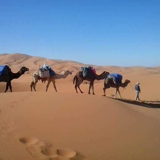 Daybreak Morocco Tours-非斯必去景点