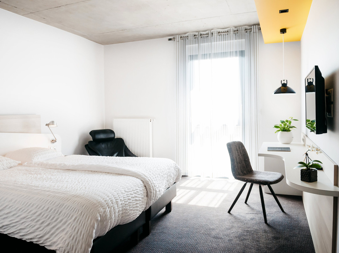 Hotel Au Lion Rouge主图
