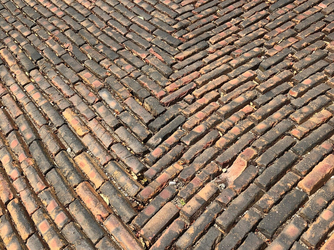 Snake Alley景点图片