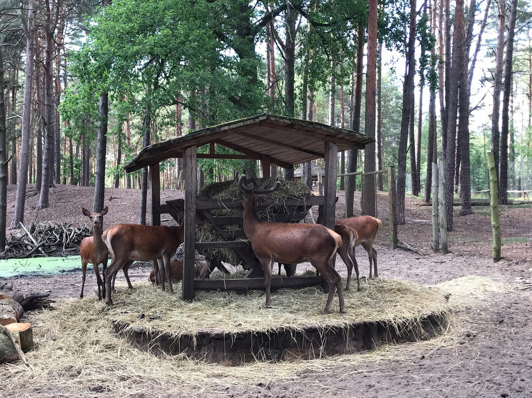 Wildpark Schorfheide-Schorfheide必去景点