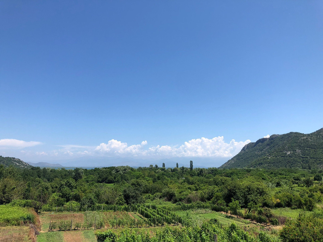 Vrzina Farm house主图