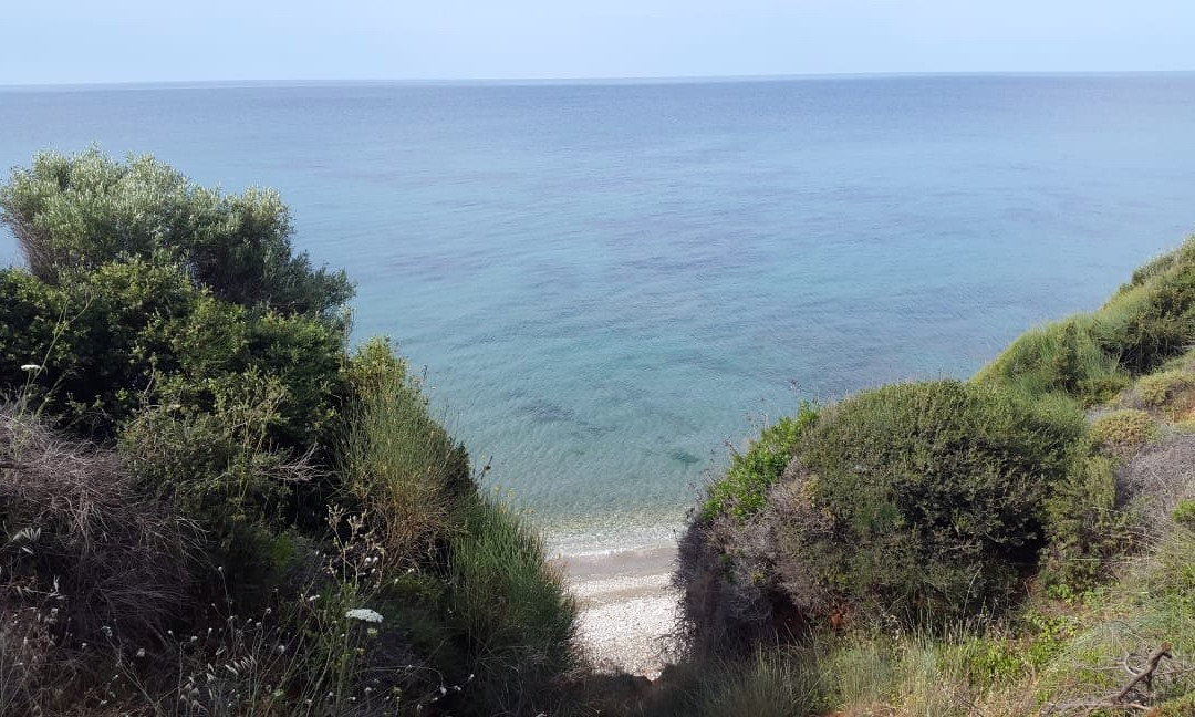 King Maron Wellness Beach Hotel主图