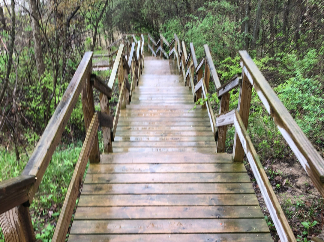 Day Light Falls-Napoleon必去景点