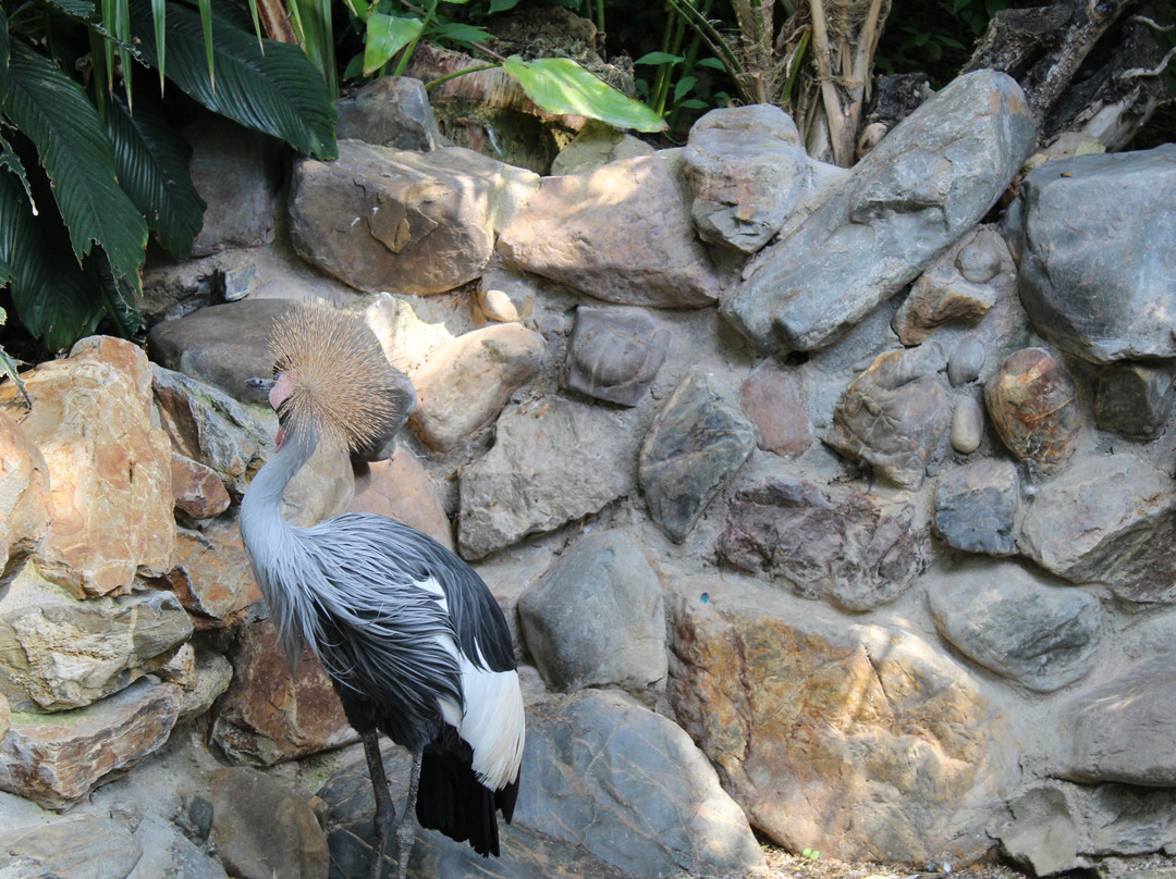Center Parcs De Kempervennen主图