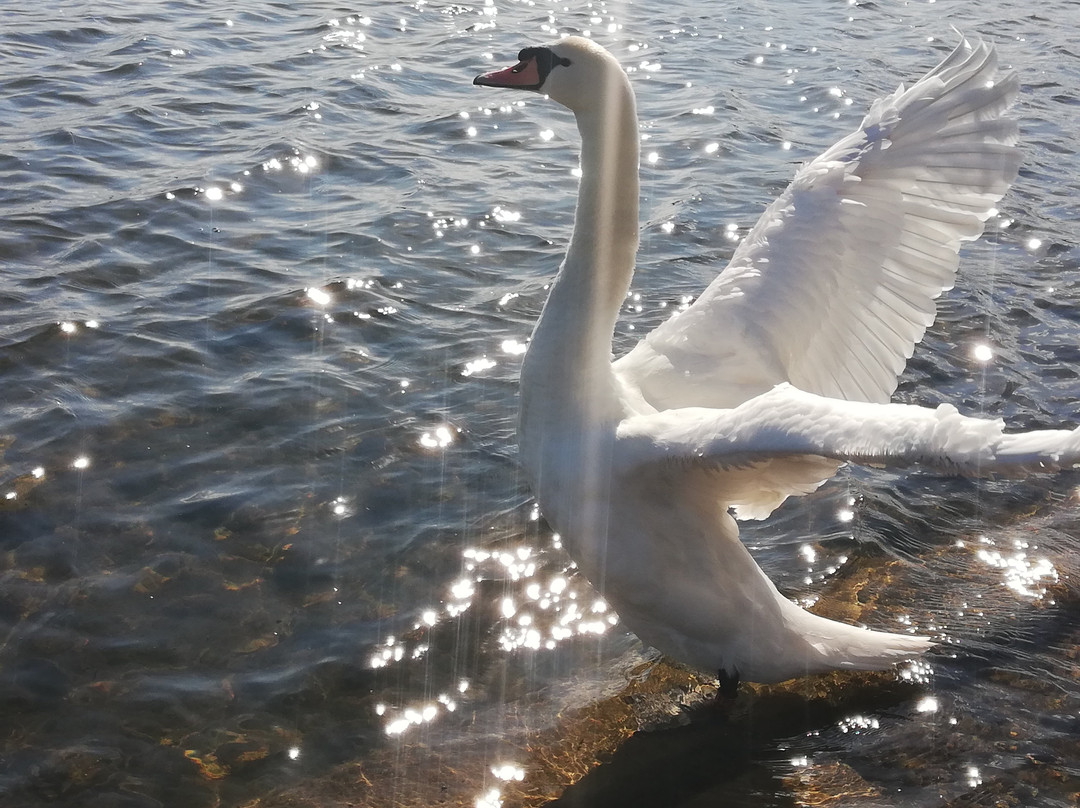Queen Elizabeth II Country Park-Ashington必去景点
