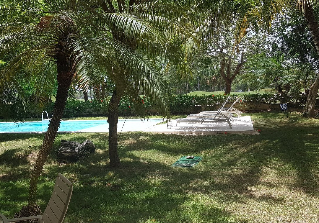 B&B Luxury House主图