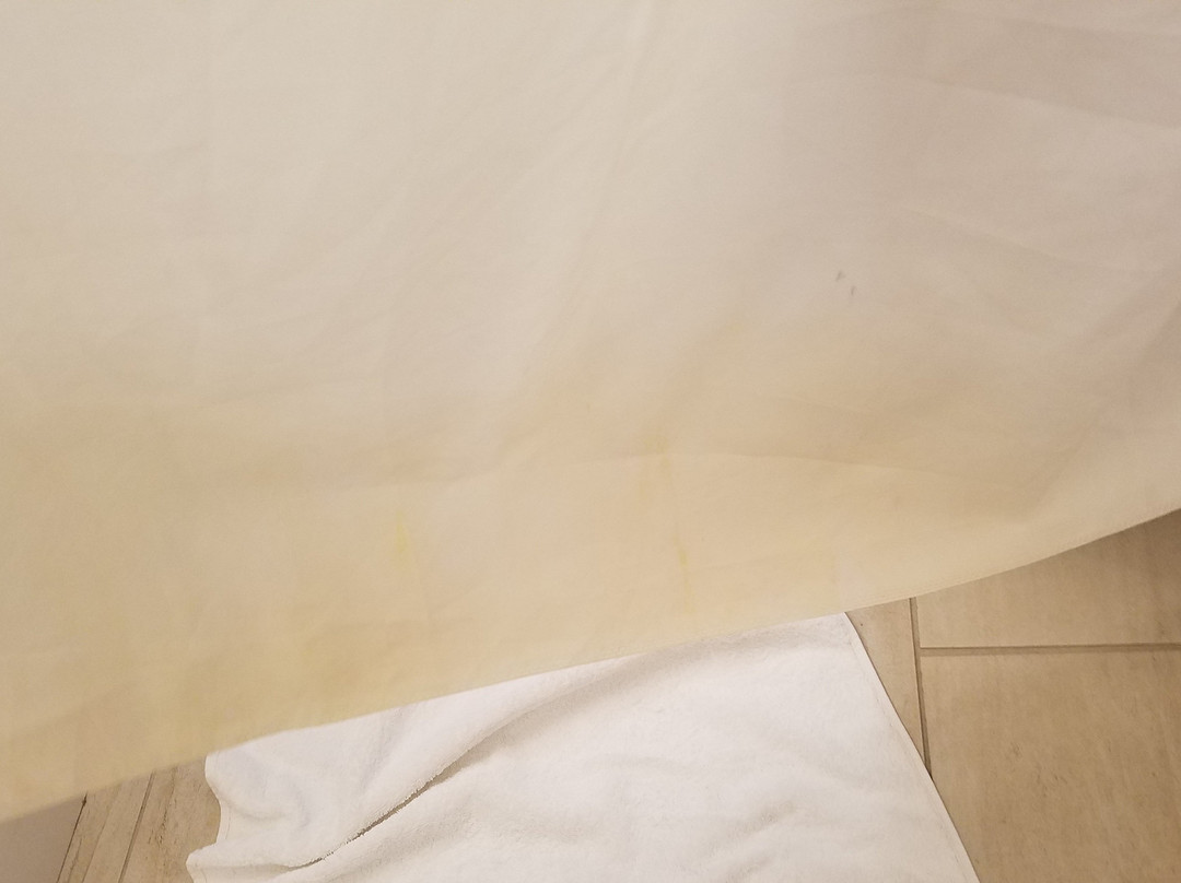 Holiday Inn Express & Suites Mt Sterling North主图