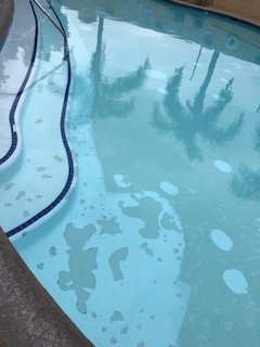 奥兰治阿纳海姆希尔顿合博套房酒店-泳池