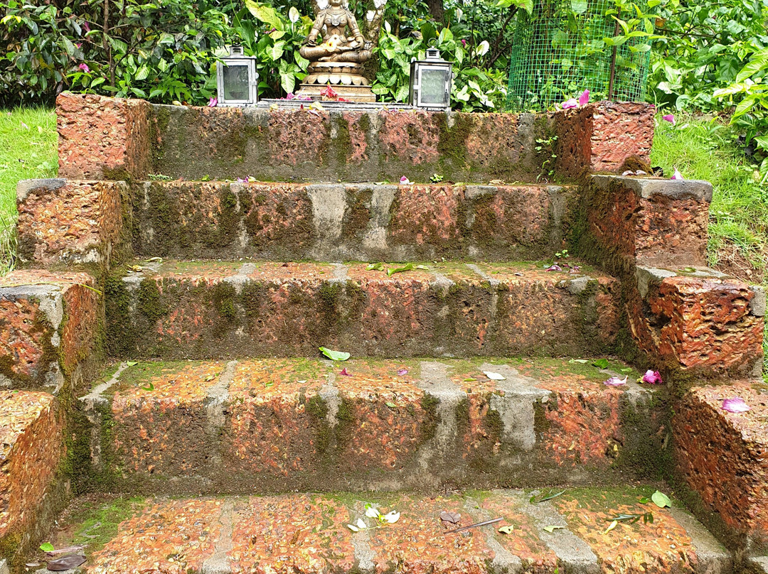 The Windflower Resort & Spa Vythiri主图