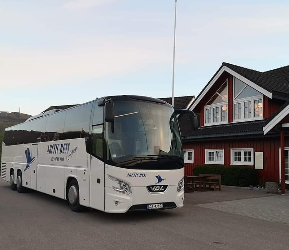 Arctic Buss Lofoten景点图片