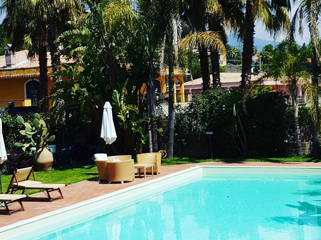 My Home in Sicily主图