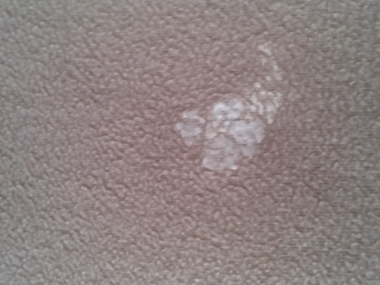 Super 8 by Wyndham Mobile主图