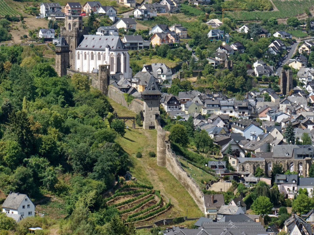 Schloss Schöenburg景点图片