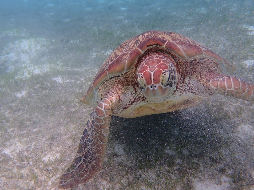 胡拉瓦尔西岛度假村主图