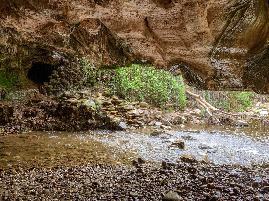 Natural Bridges Trail景点图片