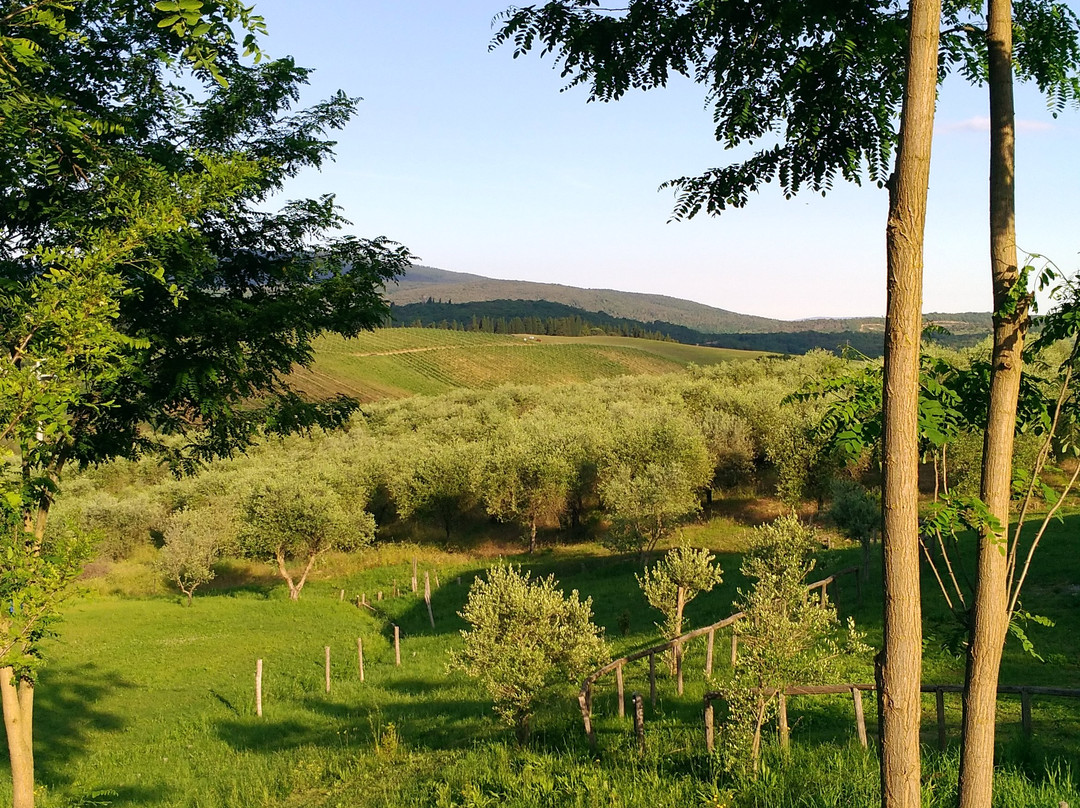 Tognazza旅游攻略图片