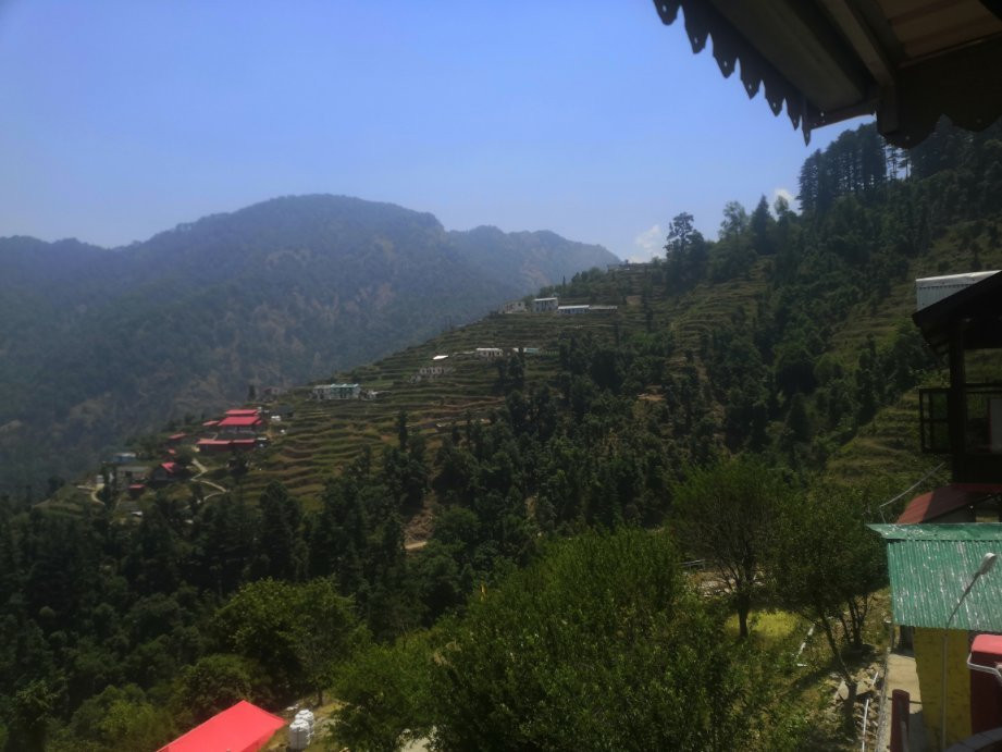 Dhanolti旅游攻略图片