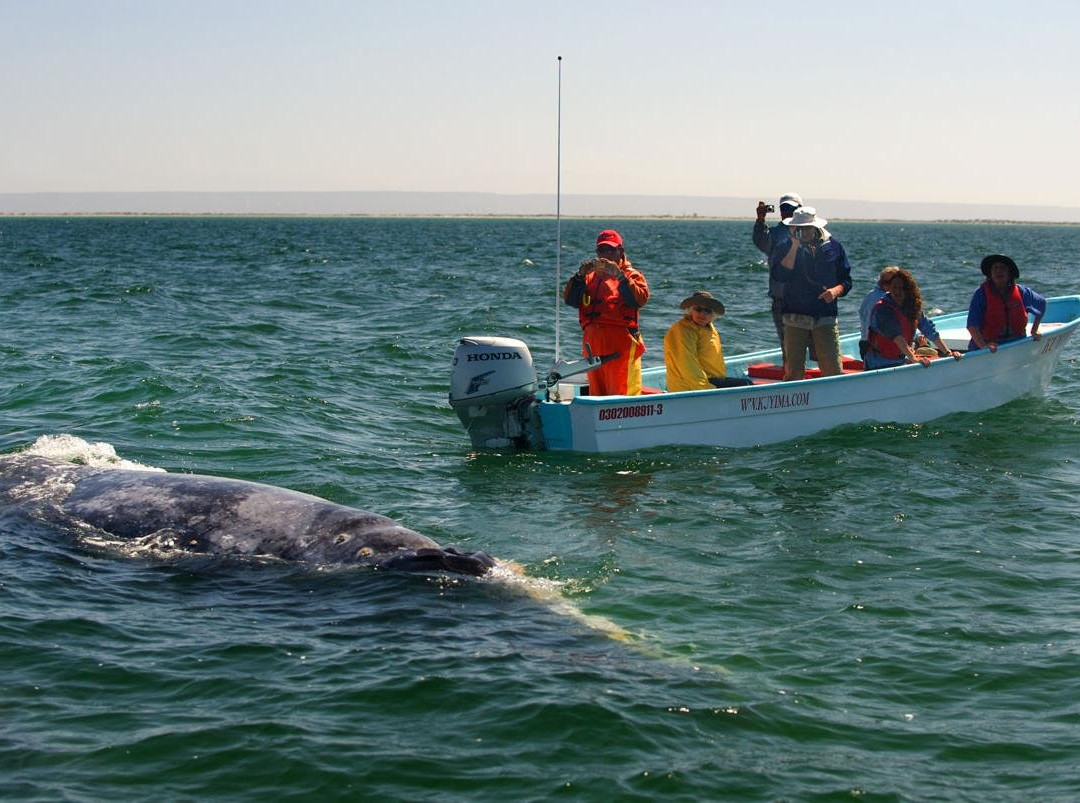 Campo Ramon-San Ignacio必去景点