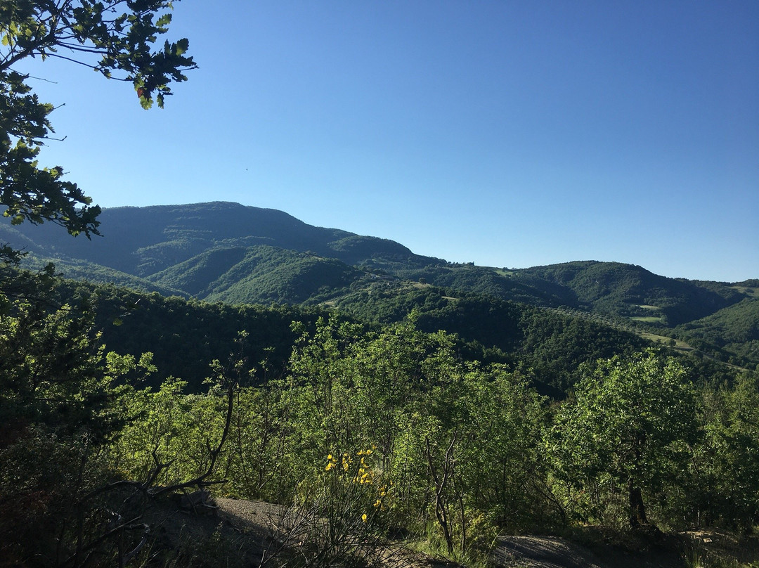 旧修道院乡村民宿