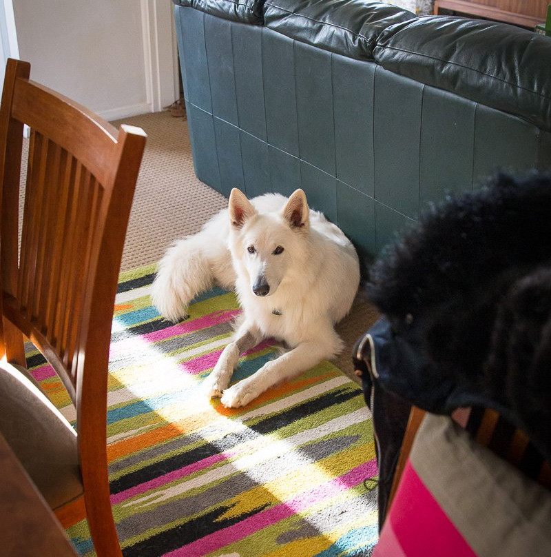 Hillside Country Retreat主图