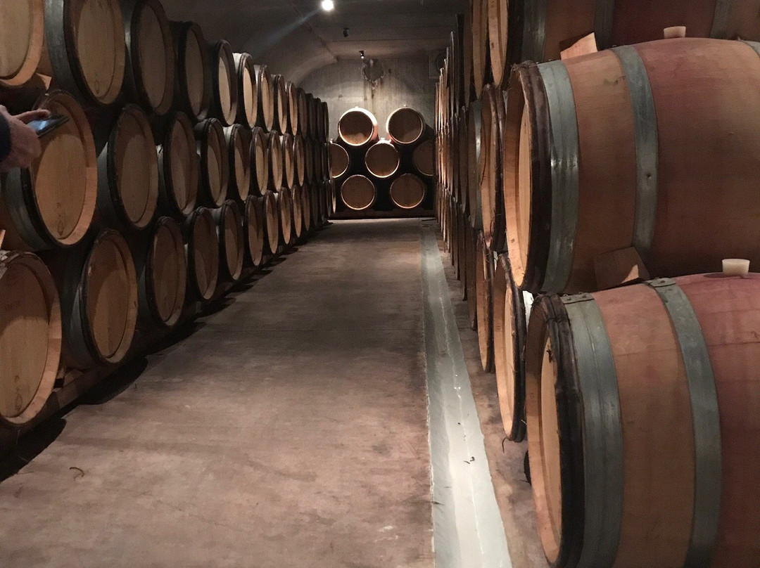 Felton Road Wines-克伦威尔镇必去景点