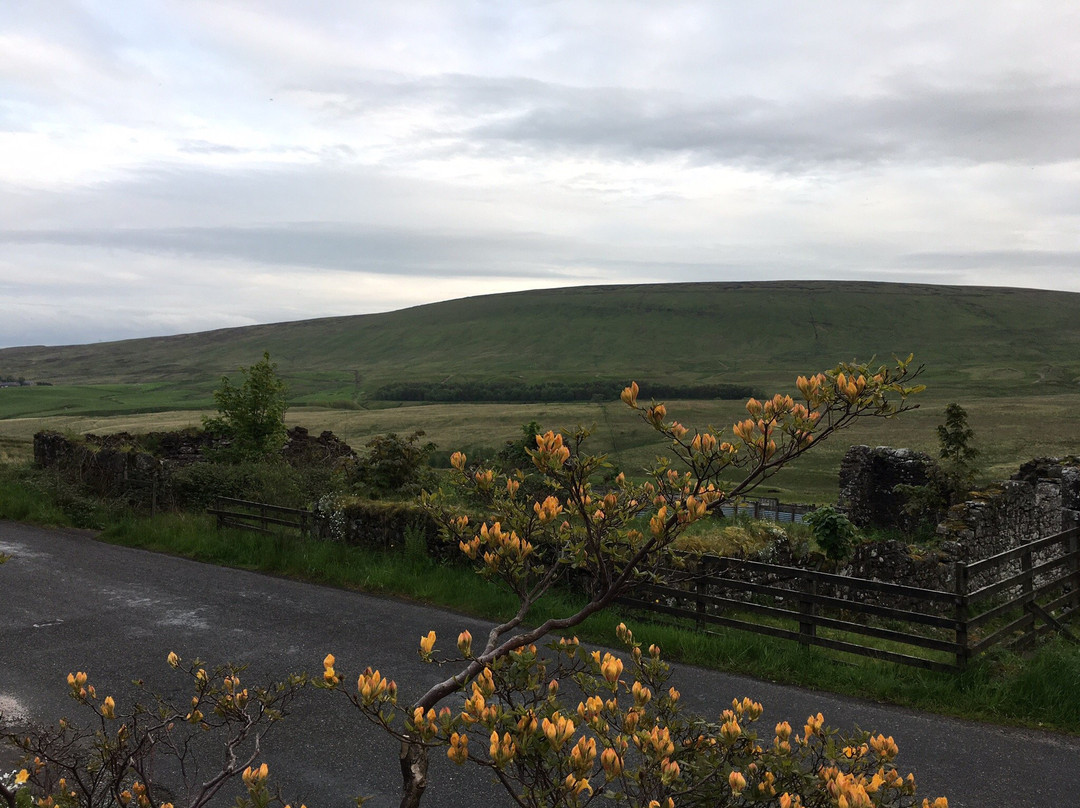 Langside Bed & Breakfast主图