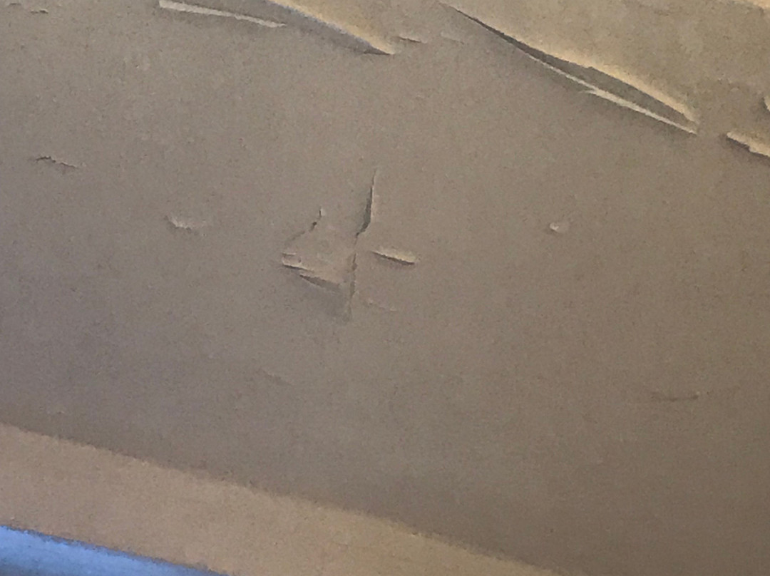 圣鲁普城堡酒店主图