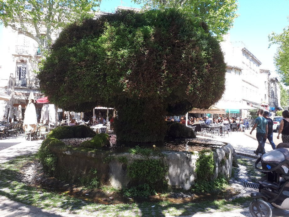 Fontaine Moussue景点图片
